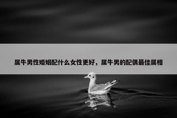 属牛男性婚姻配什么女性更好，属牛男的配偶最佳属相