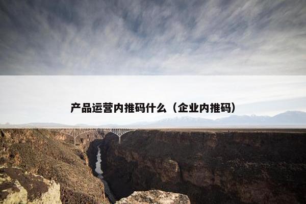 产品运营内推码什么（企业内推码）