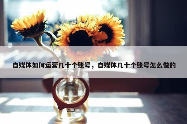 自媒体如何运营几十个账号，自媒体几十个账号怎么做的
