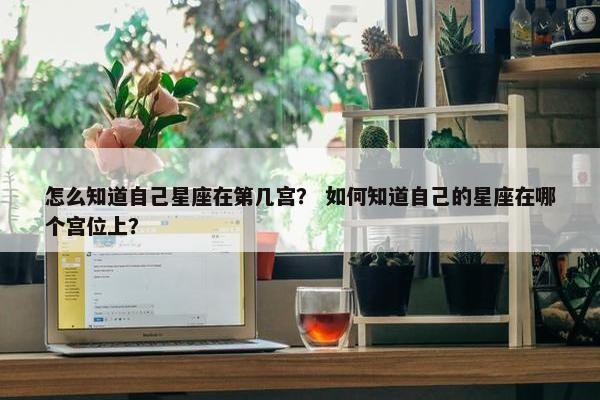 怎么知道自己星座在第几宫？ 如何知道自己的星座在哪个宫位上？
