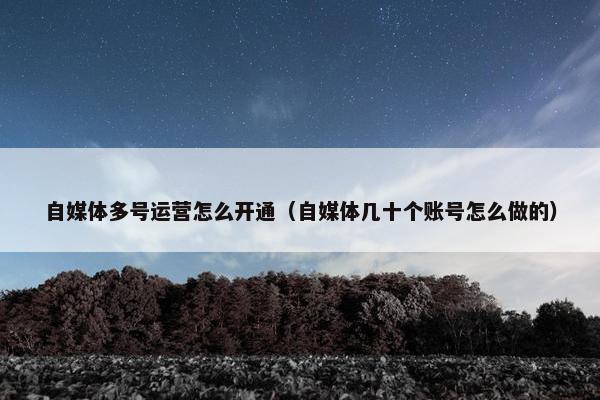 自媒体多号运营怎么开通（自媒体几十个账号怎么做的）