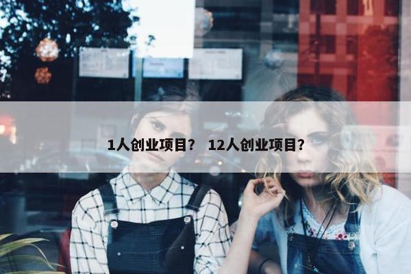 1人创业项目？ 12人创业项目？