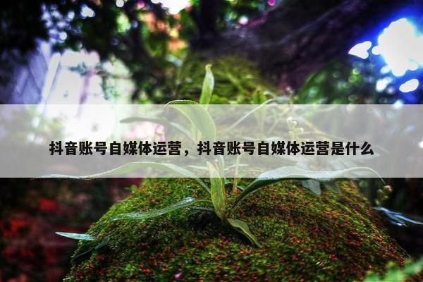 抖音账号自媒体运营，抖音账号自媒体运营是什么