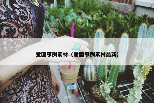 爱国事例素材（爱国事例素材最新）