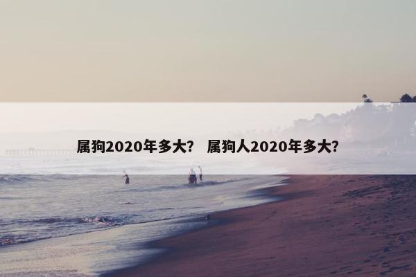 属狗2020年多大？ 属狗人2020年多大？