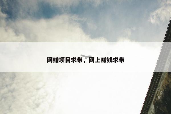 网赚项目求带，网上赚钱求带