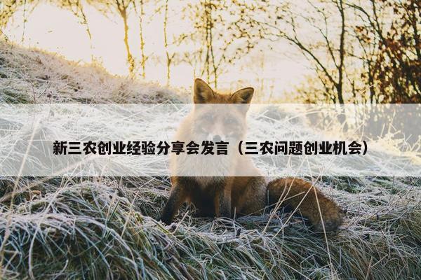新三农创业经验分享会发言（三农问题创业机会）