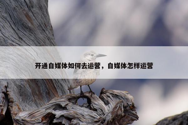 开通自媒体如何去运营，自媒体怎样运营