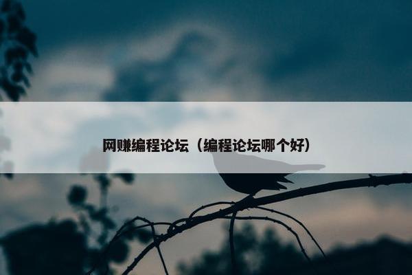 网赚编程论坛（编程论坛哪个好）
