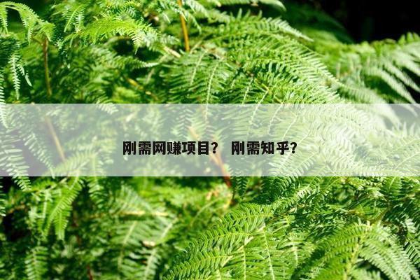 刚需网赚项目？ 刚需知乎？