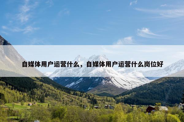 自媒体用户运营什么，自媒体用户运营什么岗位好