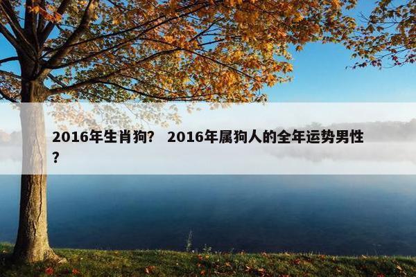 2016年生肖狗？ 2016年属狗人的全年运势男性？