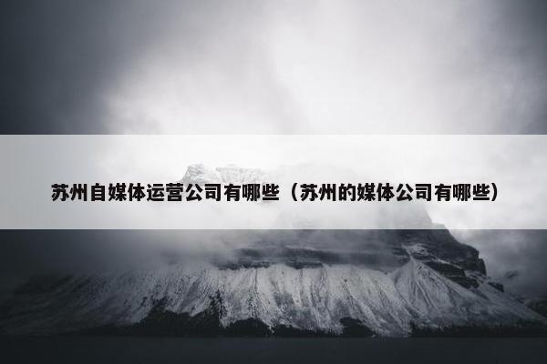 苏州自媒体运营公司有哪些（苏州的媒体公司有哪些）