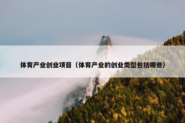 体育产业创业项目（体育产业的创业类型包括哪些）