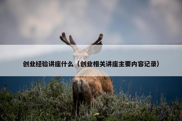 创业经验讲座什么（创业相关讲座主要内容记录）