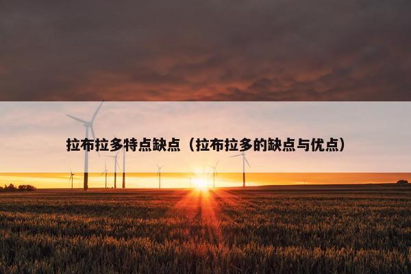 拉布拉多特点缺点（拉布拉多的缺点与优点）