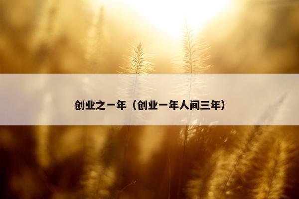 创业之一年（创业一年人间三年）