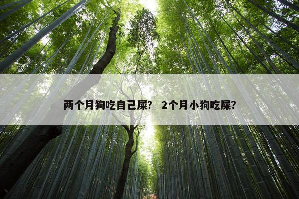 两个月狗吃自己屎？ 2个月小狗吃屎？