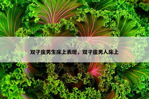 双子座男生床上表现，双子座男人床上