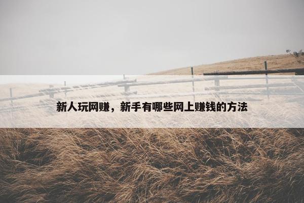 新人玩网赚，新手有哪些网上赚钱的方法