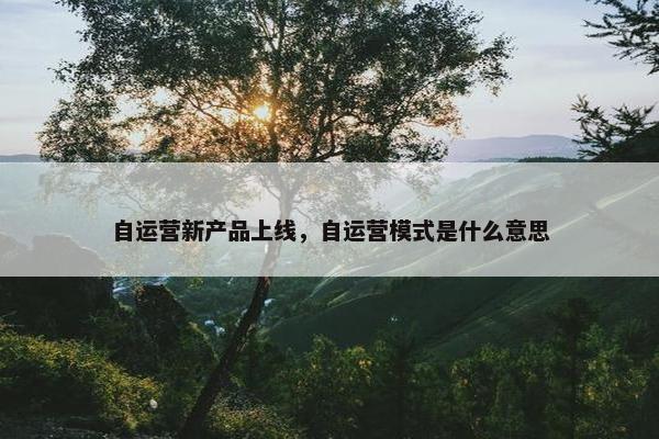 自运营新产品上线，自运营模式是什么意思