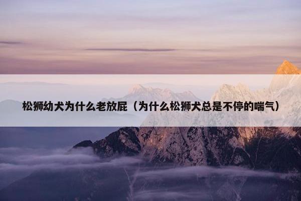 松狮幼犬为什么老放屁（为什么松狮犬总是不停的喘气）