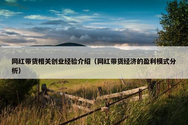 网红带货相关创业经验介绍（网红带货经济的盈利模式分析）