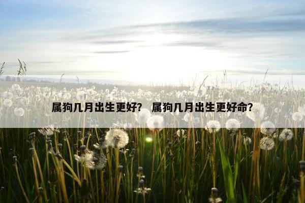 属狗几月出生更好？ 属狗几月出生更好命？
