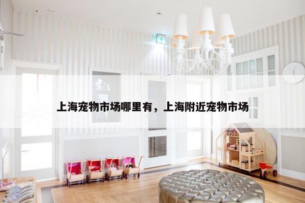 上海宠物市场哪里有，上海附近宠物市场