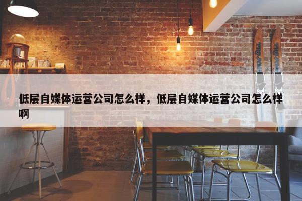 低层自媒体运营公司怎么样，低层自媒体运营公司怎么样啊