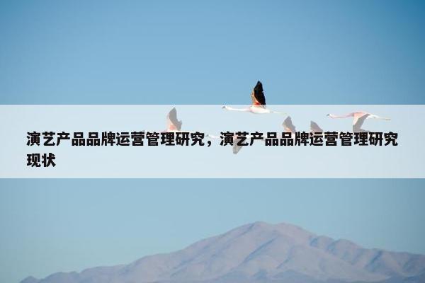 演艺产品品牌运营管理研究，演艺产品品牌运营管理研究现状