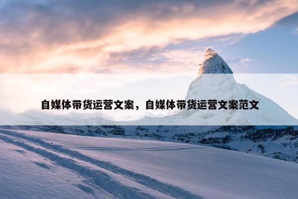自媒体带货运营文案，自媒体带货运营文案范文