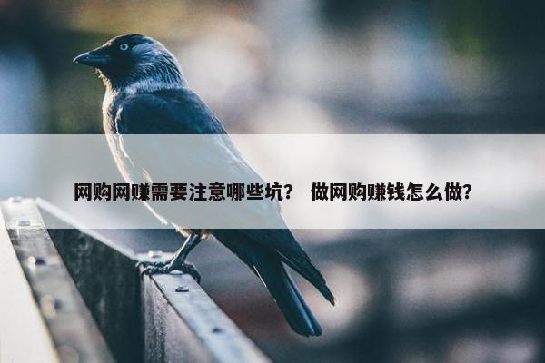 网购网赚需要注意哪些坑？ 做网购赚钱怎么做？