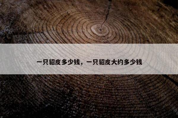 一只貂皮多少钱，一只貂皮大约多少钱