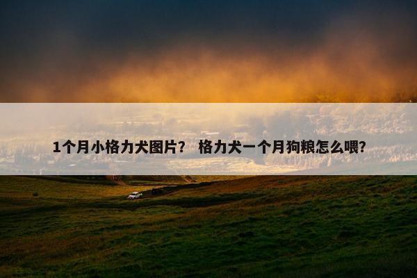 1个月小格力犬图片？ 格力犬一个月狗粮怎么喂？