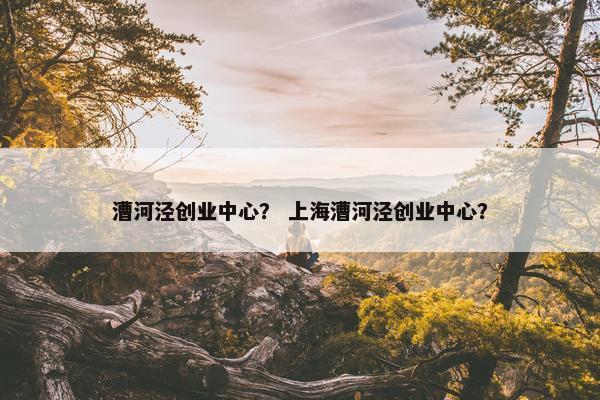 漕河泾创业中心？ 上海漕河泾创业中心？