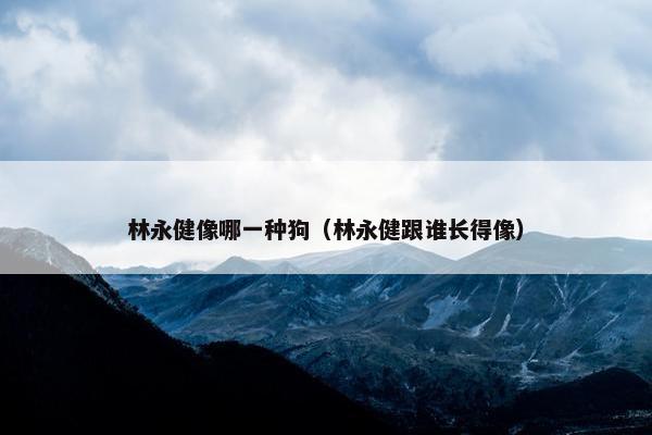 林永健像哪一种狗（林永健跟谁长得像）