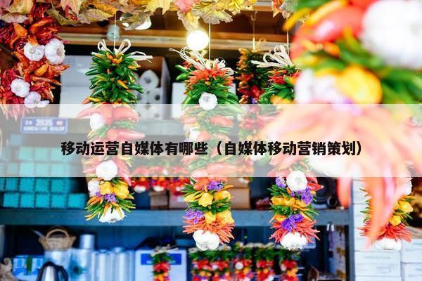 移动运营自媒体有哪些（自媒体移动营销策划）