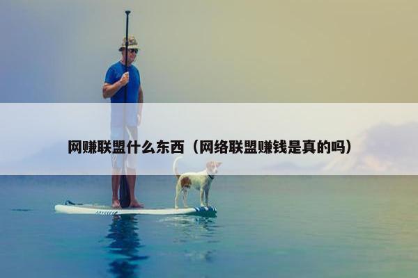 网赚联盟什么东西（网络联盟赚钱是真的吗）