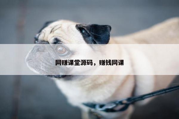 网赚课堂源码，赚钱网课