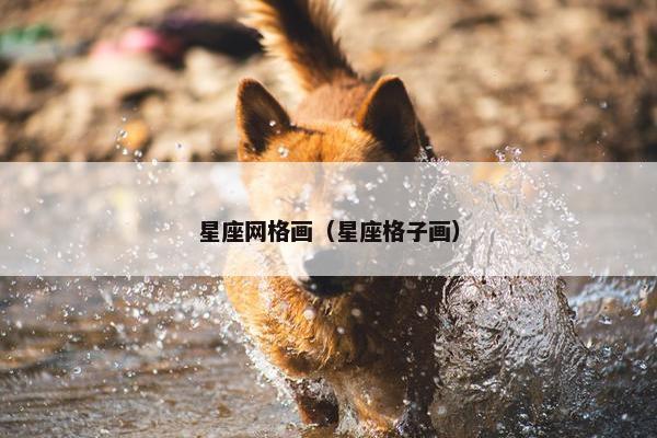 星座网格画（星座格子画）