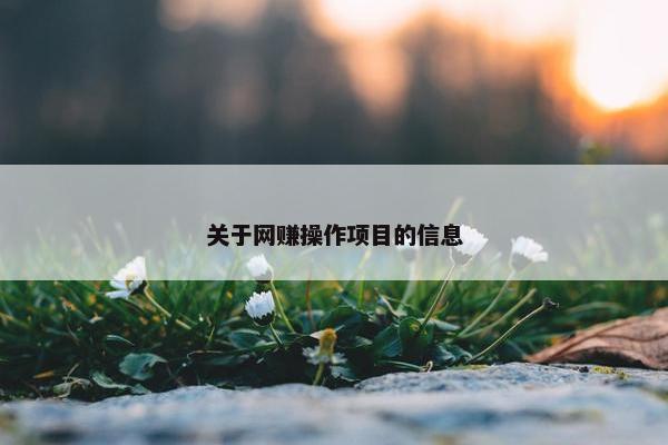 关于网赚操作项目的信息