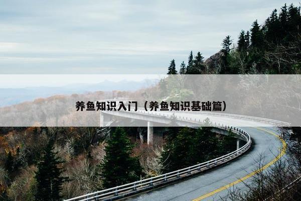 养鱼知识入门（养鱼知识基础篇）