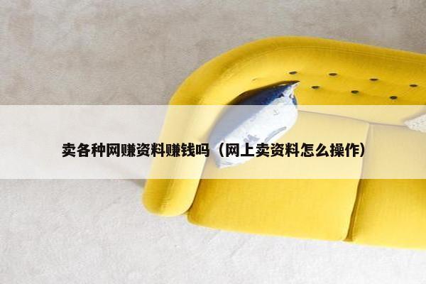 卖各种网赚资料赚钱吗（网上卖资料怎么操作）