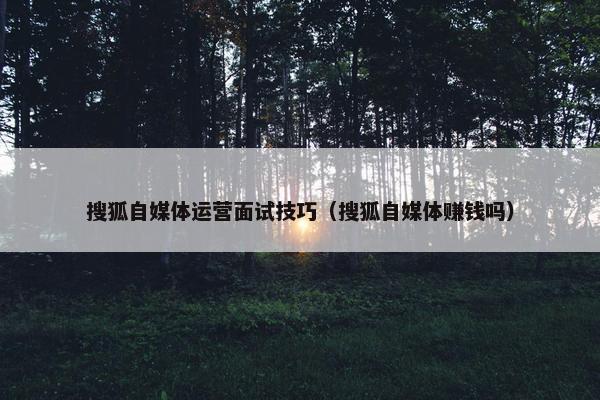搜狐自媒体运营面试技巧（搜狐自媒体赚钱吗）