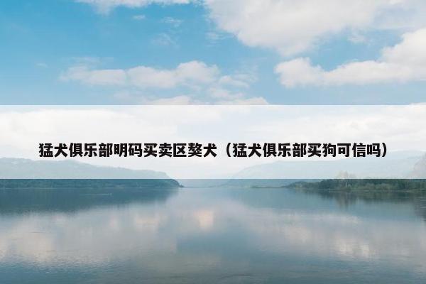 猛犬俱乐部明码买卖区獒犬（猛犬俱乐部买狗可信吗）