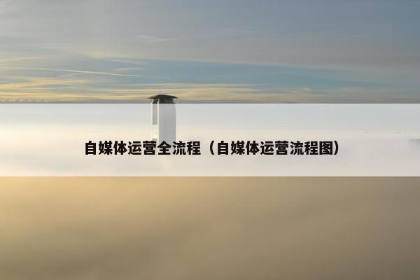 自媒体运营全流程（自媒体运营流程图）