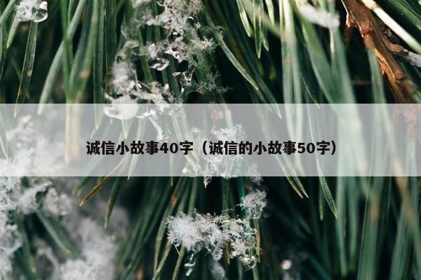 诚信小故事40字（诚信的小故事50字）