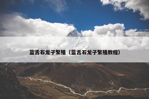 蓝舌石龙子繁殖（蓝舌石龙子繁殖教程）
