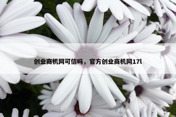 创业商机网可信吗，官方创业商机网17l